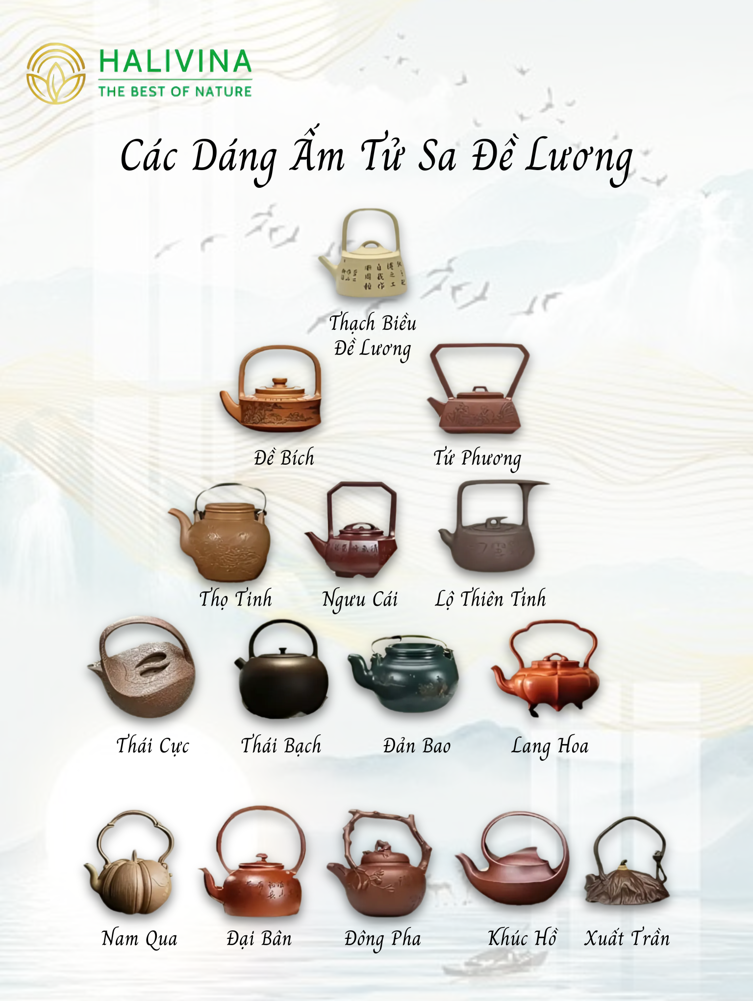 Khám Phá 75 Dáng Ấm Tử Sa - 75 Tác Phẩm Kinh Điển Trong Trà Nghệ Trung Hoa