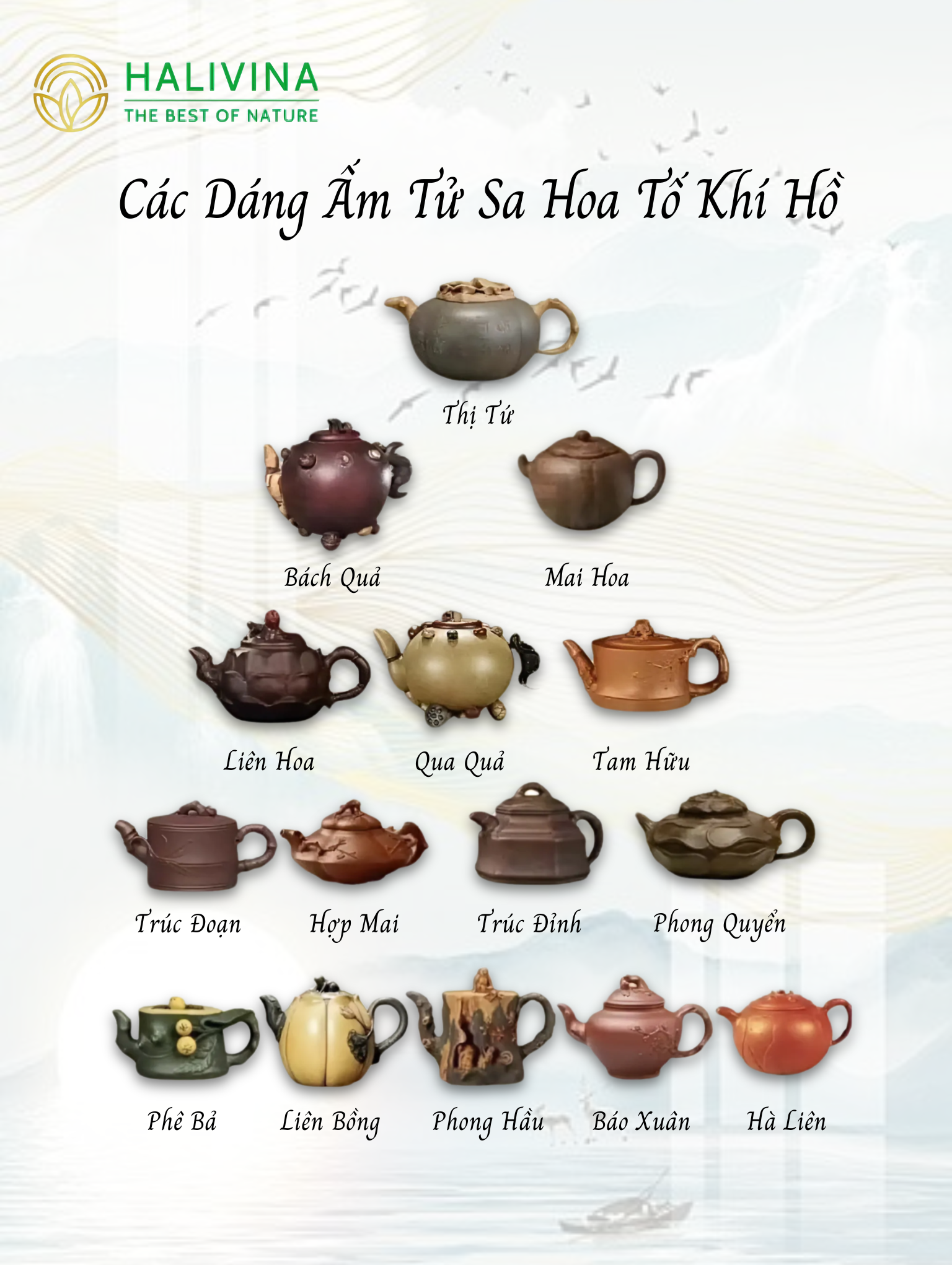 Khám Phá 75 Dáng Ấm Tử Sa - 75 Tác Phẩm Kinh Điển Trong Trà Nghệ Trung Hoa