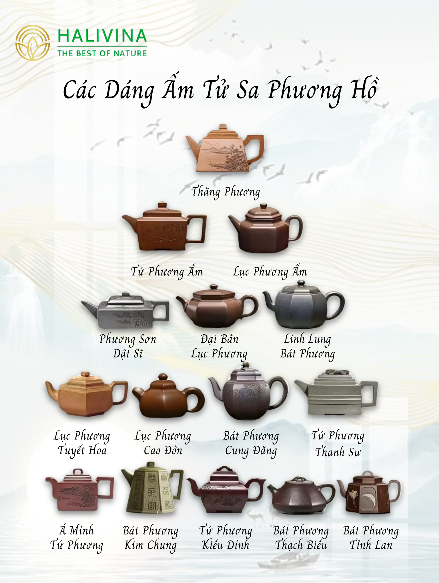 Khám Phá 75 Dáng Ấm Tử Sa - 75 Tác Phẩm Kinh Điển Trong Trà Nghệ Trung Hoa