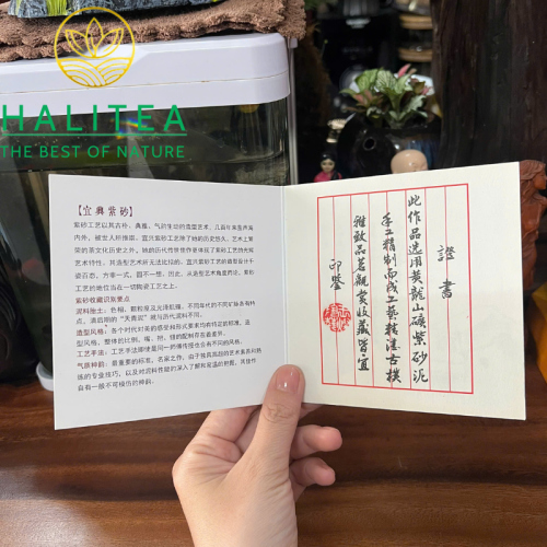 Ấm Tử Sa Hư Biến Hắc Nê 180ml