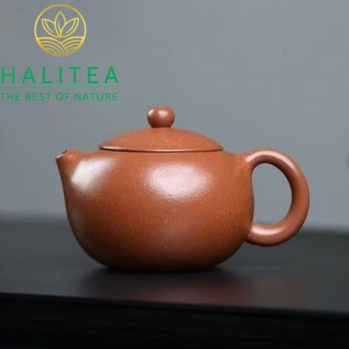 Ấm Tử Sa Tây Thi Hoàng Giáng Pha Nê 150ml