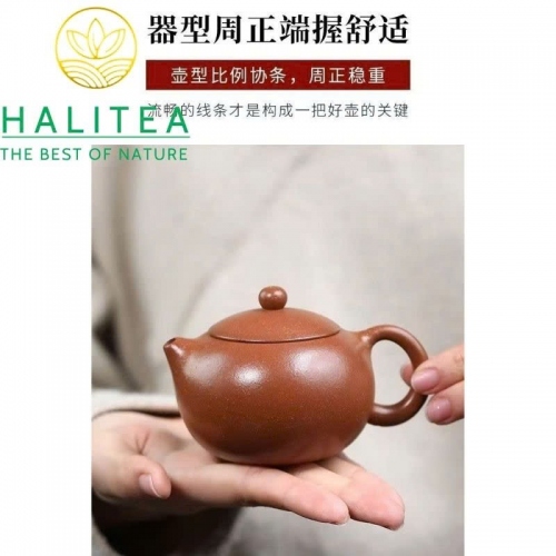 Ấm Tử Sa Tây Thi Hoàng Giáng Pha Nê 150ml