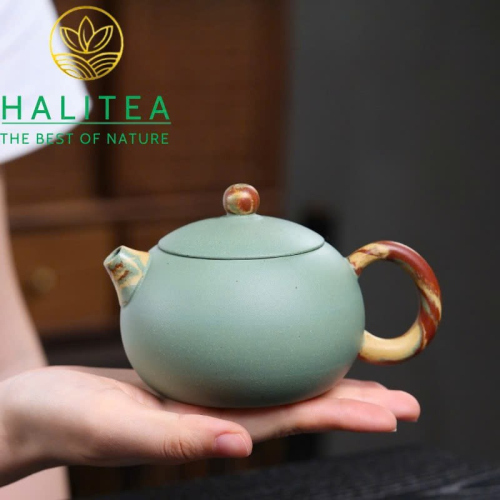 Ấm Tử Sa Tây Thi Song Sắc 250ml – Đậu Thanh Sa Giảo Nê Thủ Công Nghi Hưng
