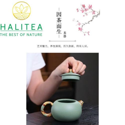 Ấm Tử Sa Tây Thi Song Sắc 250ml – Đậu Thanh Sa Giảo Nê Thủ Công Nghi Hưng