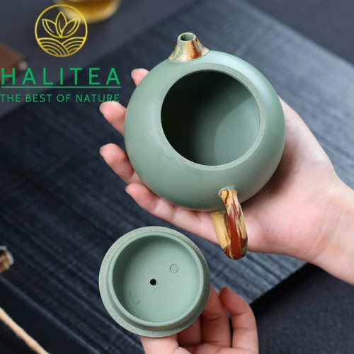 Ấm Tử Sa Tây Thi Song Sắc 250ml – Đậu Thanh Sa Giảo Nê Thủ Công Nghi Hưng