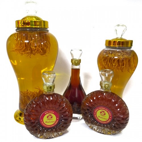 Bình Rượu Ngâm Nấm Trùng Thảo Tươi 5 Lít