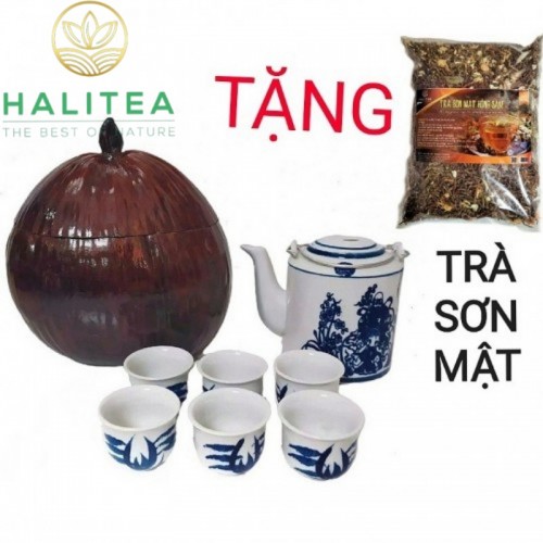 Bộ Ấm Tích 800ml + 6 Chén + Trái Dừa Ủ + Trà Sơn Mật Hồng Sâm 200Gr