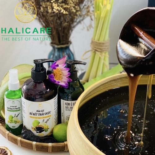Combo Gội Xả Bồ Kết Thảo Dược HaliCare - Tóc Khỏe, Bóng Mượt