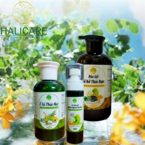 Combo Gội Xả Bồ Kết Thảo Dược HaliCare - Tóc Khỏe, Bóng Mượt