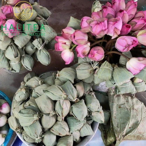 Combo Trà Ướp Sen Tây Hồ 05 Bông Tươi
