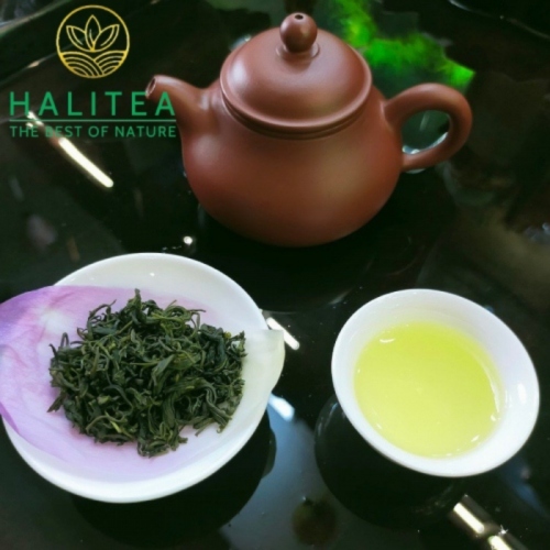Combo Trà Ướp Sen Tây Hồ 05 Bông Tươi