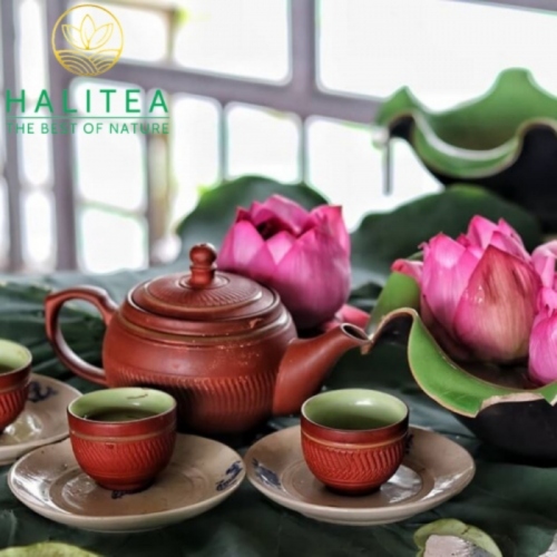 Combo Trà Ướp Sen Tây Hồ 05 Bông Tươi