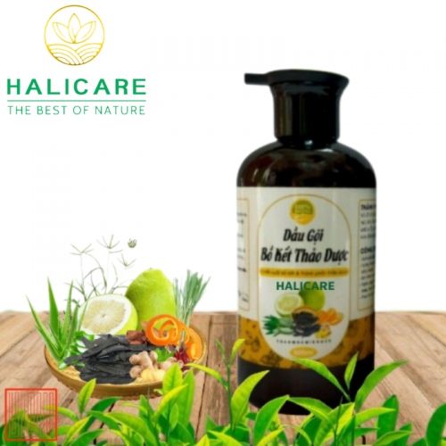 Dầu Gội Thiên Nhiên HaliCare Bồ Kết & Thảo Dược Chai 500ml