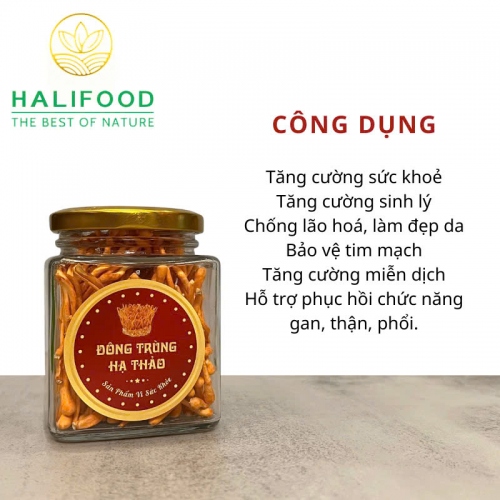 Đông Trùng Hạ Thảo VN Sấy Thăng Hoa Hộp Giấy Cao Cấp Hũ 10gr