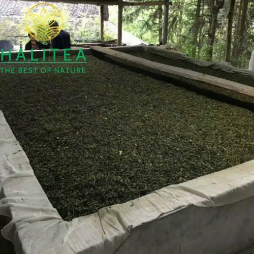 Hắc Trà An Hóa Bách Lượng Trà 3.6kg – Hắc Trà Cổ Truyền 300 Năm