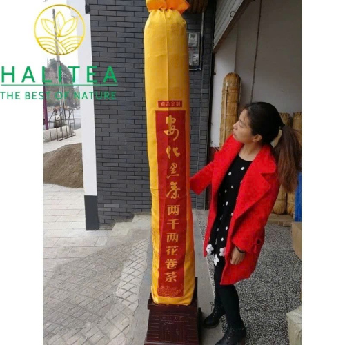 Hắc Trà An Hóa Nhị Thiên Lượng Trà 72kg – Hắc Trà Khổng Lồ Sưu Tầm & Phong Thủy