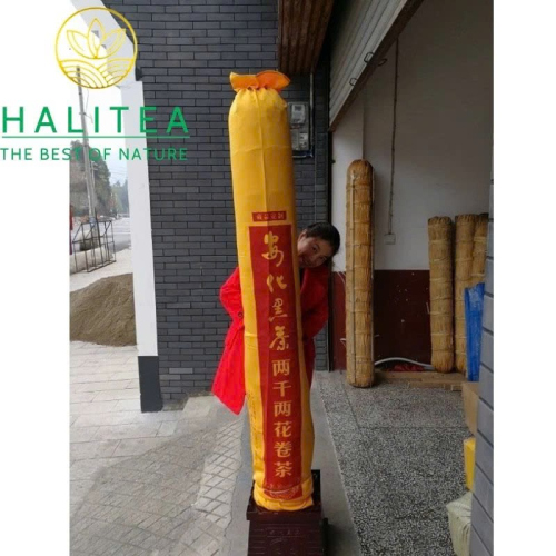Hắc Trà An Hóa Nhị Thiên Lượng Trà 72kg – Hắc Trà Khổng Lồ Sưu Tầm & Phong Thủy