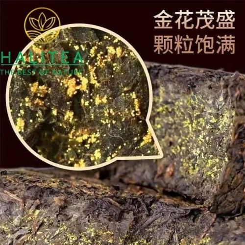 Hắc Trà Kim Hoa Hồ Nam An Hoá 2015 – Bánh 220g