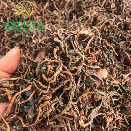 Hồng Trà Shan Tuyết Cổ Thụ Suối Giàng Yên Bái Cao Cấp Túi Zipper 100Gr
