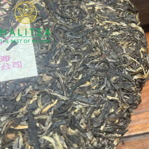 Phổ Nhĩ Sống 2003 Tử Đại Ích (Purple Dayi Qing Bing) – Trà Cổ Khô Kho Mạnh Hải 357g