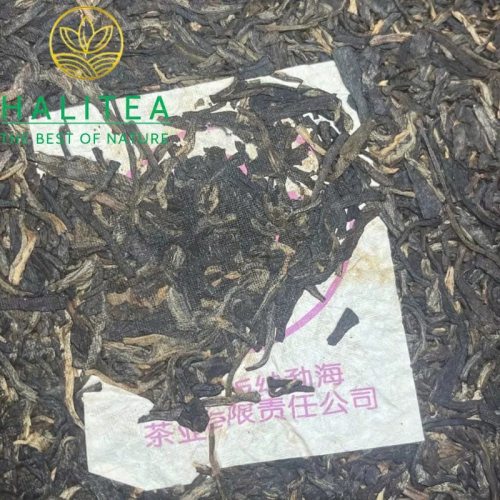 Phổ Nhĩ Sống 2003 Tử Đại Ích (Purple Dayi Qing Bing) – Trà Cổ Khô Kho Mạnh Hải 357g