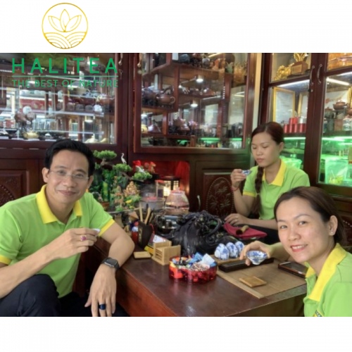 Set 2 Hộp Trà Xanh Móc Câu HALITEA Thái Nguyên Đặc Biệt 400gr