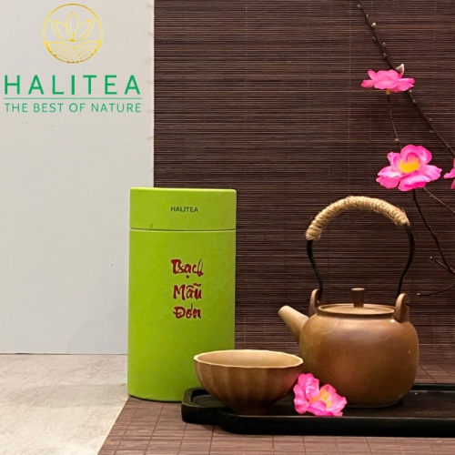Set Quà Tặng 10 Loại Trà Shan Tuyết HALITEA Thượng Hạng Lon Xanh
