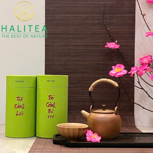 Set Quà Tặng 10 Loại Trà Tân Cương Thái Nguyên HALITEA Thượng Hạng