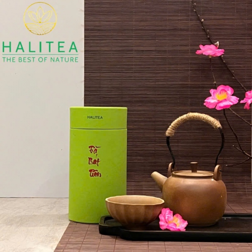 Set Quà Tặng 10 Loại Trà Tân Cương Thái Nguyên HALITEA Thượng Hạng