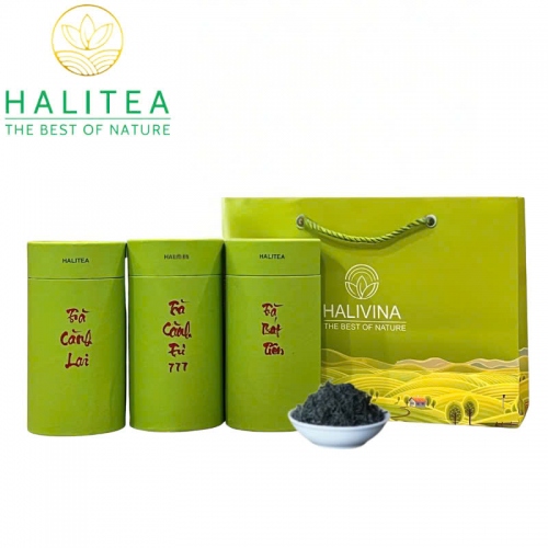 Set Quà Tặng 10 Loại Trà Tân Cương Thái Nguyên HALITEA Thượng Hạng