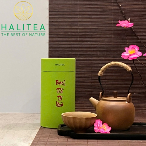 Set Quà Tặng Bạch Trà Cao Cấp HALITEA Lon Xanh 01 Túi/03 Lon