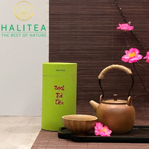 Set Quà Tặng Bạch Trà Cao Cấp HALITEA Lon Xanh 01 Túi/03 Lon