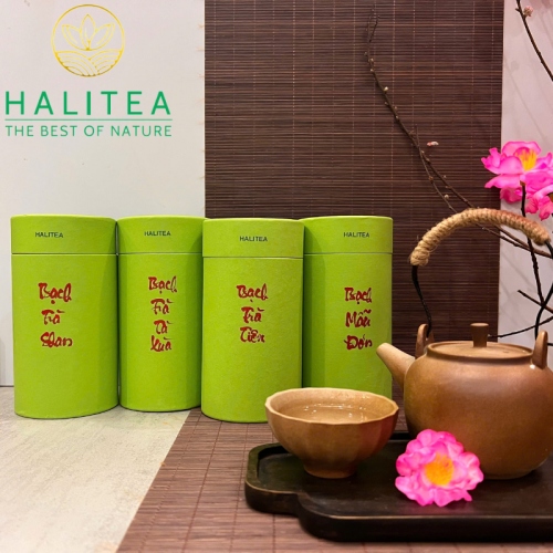 Set Quà Tặng Bạch Trà Cao Cấp HALITEA Lon Xanh 01 Túi/03 Lon