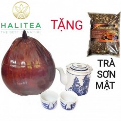 Combo Bộ Ấm Tích 400ml + 2 Chén + Trái Dừa Ủ Trà + Trà Sơn Mật...