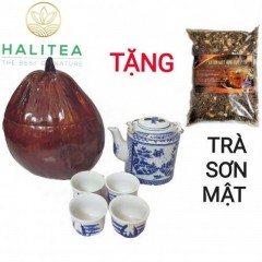 Combo Bộ Ấm 600ml + 4 Chén + Trái Dừa Ủ + Trà Sơn Mật Hồng Sâm...