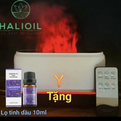 Máy Khuếch Tán Tinh Dầu Ngọn Lửa Chữ Y Tạo Độ Ẩm 200ml Chai...
