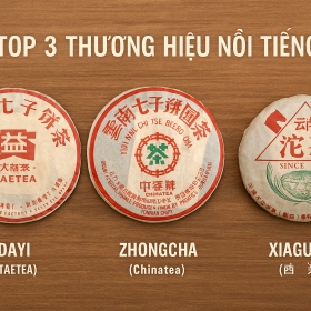 Top 3 thương hiệu Trà Phổ Nhĩ huyền thoại Trung Quốc
