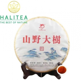 Trà Phổ Nhĩ Chín (Long Yuan Hao) Long Nguyên Hào 2016 Sơn Dã Đại...