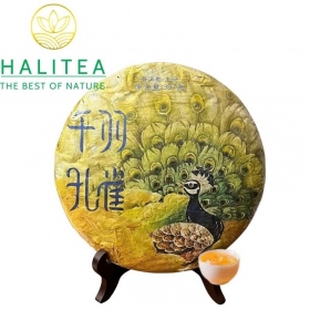 Trà Phổ Nhĩ Sống Thiên Vũ Khổng Tước Tây Song Bản Nạp –...