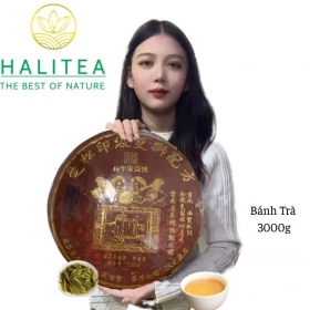 Trà Phổ Nhĩ Sống (Tong Qing Hao) Song Sư Đồng Khánh 2015 Phiên...