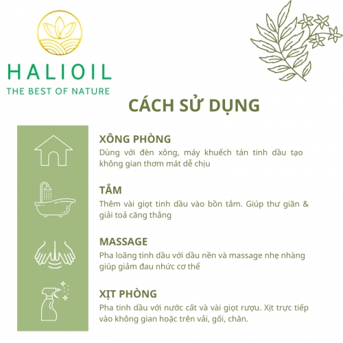 Tinh Dầu Vỏ Bưởi HALIOIL - Grapefruit - 10ml