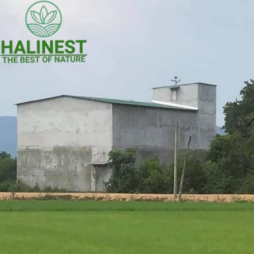 Tổ Yến Tinh Chế Sạch Lông Loại 1 Hộp 100Gr