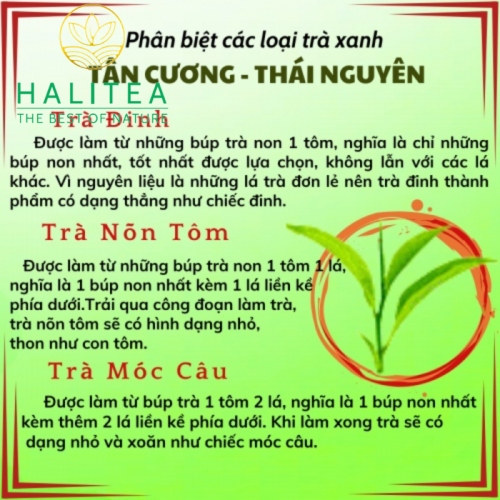 Trà Búp Tân Cương Thái Nguyên Đậm Vị Gói 500gr