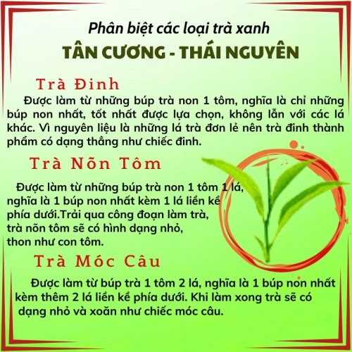Trà Đinh Xuân 2026 Tân Cương Thái Nguyên Hộp Kiếng 100gr
