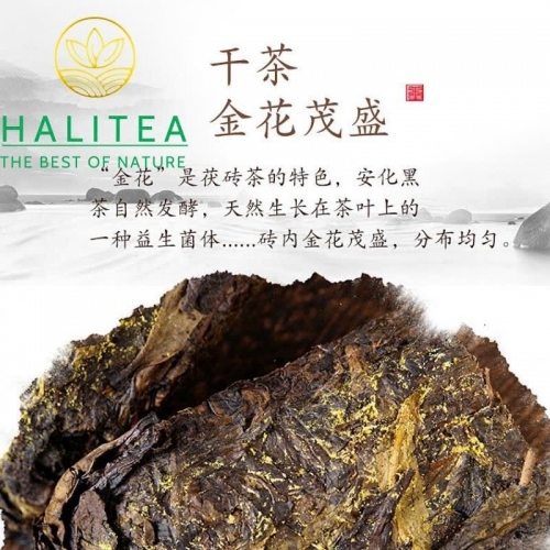 Trà Hắc Trà An Hóa Phục Trà Kim Hoa 2015 Bánh Trà 1kg