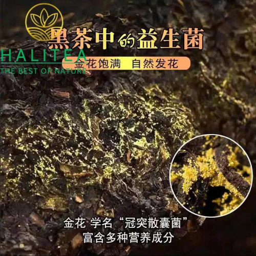 Trà Hắc Trà An Hóa Phục Trà Kim Hoa 2015 Bánh Trà Đỏ 1kg
