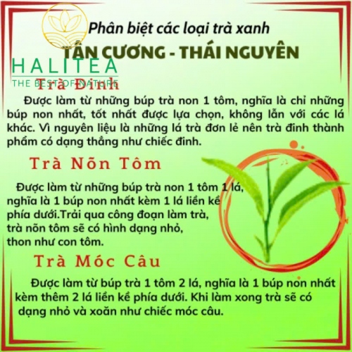 Trà Nõn Tôm HALITEA Cao Cấp Hộp Thiếc 280gr - Set Quà Tặng Lễ Tết