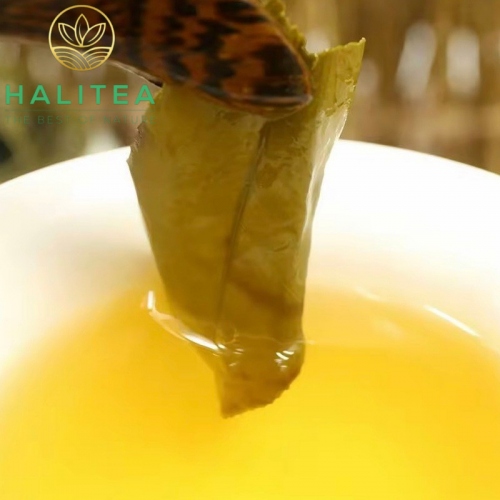 Trà Ô Long Đông Đỉnh Đài Loan (Dong Ding Oolong) – Gói 150g