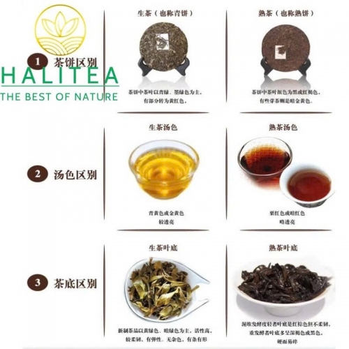 Trà Phổ Nhĩ Chín (Qing Feng Xiang) Thanh Phong Tường  2021 Trân Tàng 3 – Bánh 357g