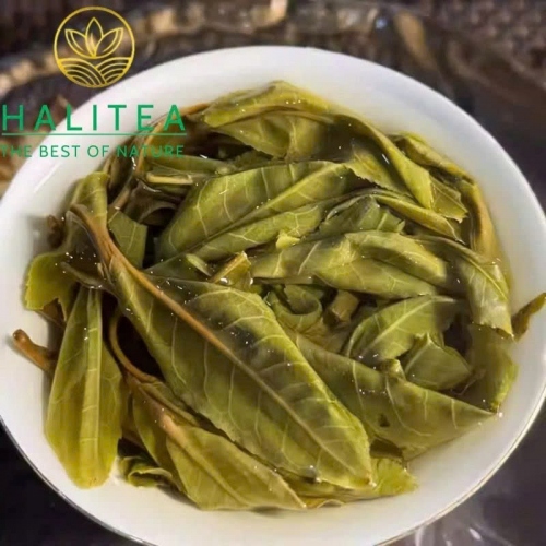 Trà Phổ Nhĩ Sống Kim Khổng Tước (Jin Kong Que) 2023 - Bánh 3kg